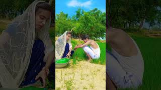 Sabse Nik Bate Saiya Kishani viral trendingshorts bhojpurisong khet 🥰🥰🥰🥰 [upl. by Anayrb204]