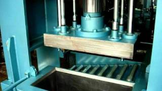 100Ton Hydraulic Rubber Press by SUNFLUID [upl. by Mik]