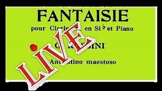 Rossini Fantaisie pour clarinette et piano live  S Del Mastro clarinet R Caramella piano [upl. by Euqinad]