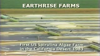 First Commercial Spirulina Farm in California • 1983 [upl. by Selokcin]