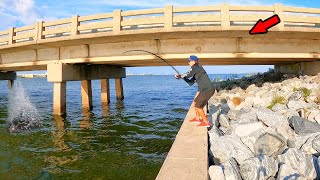 Walked Underneath a Bridge and Caught Dinner [upl. by Rukna704]