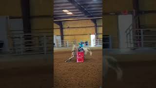 FEIN palomino horse equestrian barrelracing [upl. by Merideth493]