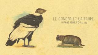 07  LE CONDOR ET LA TAUPE Hippocampe Fou feat céo [upl. by Emmerie]