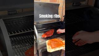 Bringing BBQ to a whole new level these ribs are pure magic bbq smokingmeat zgrills smokedribs [upl. by Annahsad]