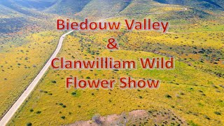 Clanwilliam Biedouw Valley amp Wild Flower Show [upl. by Pollerd]