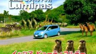 Daihatsu Boon Luminas  2008 cm [upl. by Loree]