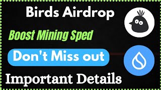 Birds Airdrop Boost Mining Speed 8X  Sui BlockChain Important Details [upl. by Lati254]