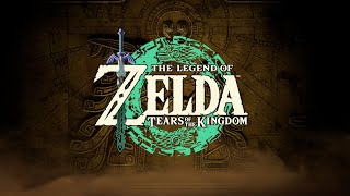 The Legend of Zelda Tears of the Kingdom Boss Battles  Master Kohga [upl. by Sherwynd888]