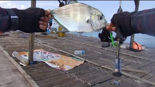 MANCING DI KERAMBA YG LAGI VIRAL DI BALI ‼️BEGINI HASILNYA 🎣 [upl. by Zinn]