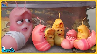 LARVA CARTOONS FULL EPISODE BIG FAMILY  CARTOONS FULL MOVIE  FUNNY CARTOON COMPILATION [upl. by Nayhr]