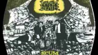 Napalm Death  You Suffer slowed to 43 secondswmv [upl. by Anier]