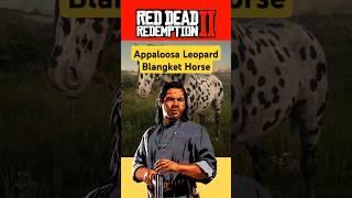 Cara Mendapatkan Appaloosa Leopard Blangket Horse rdr2 reddeadredemtion2 reddeadredemption [upl. by Lahsram369]