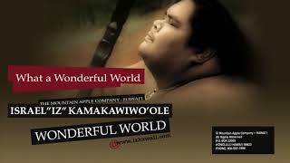 OFFICIAL Israel quotIZquot Kamakawiwoʻole  quotWonderful Worldquot [upl. by Winchell657]