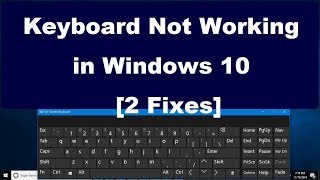 Keyboard Not Working in Windows 10 2 Fixes [upl. by Leba146]