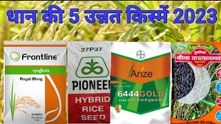 dhan ki top 5 variety 2022  धान की उन्नत किस्में  dhan ki unnat kism  dhan ki kheti [upl. by Okram]