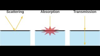 Lecture  Scatter Control and Beam Restriction  Radiographic Physics [upl. by Poucher835]