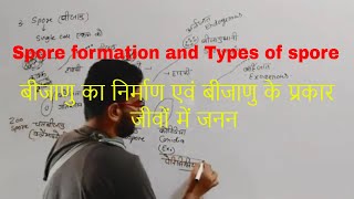 Spore Formation in Hindi  Types of spore  बीजाणु के प्रकार  reproduction in human [upl. by Bandeen7]