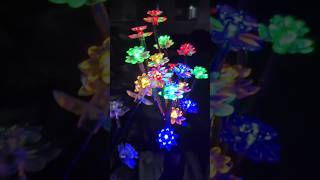 decoration solar light shorts gadgets [upl. by Uticas]