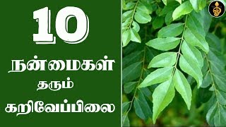 Karuveppilai benefits in Tamil  கறிவேப்பிலை பயன்கள்  Curry leaves benefits in Tamil  Dheivegam [upl. by Elohcin]