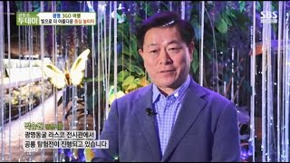 SBS 생방송투데이  광명 3GO 여행 [upl. by Royce]