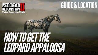 Red Dead Redemption 2 How to get the Leopard Appaloosa  Guide amp Location [upl. by Manas621]