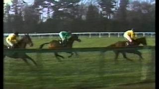 1982 Lambert amp Butler Premier Chase Final [upl. by Lehpar]