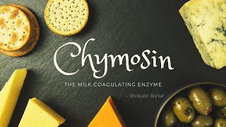 Chymosin The milk coagulating enzyme [upl. by Luiza]