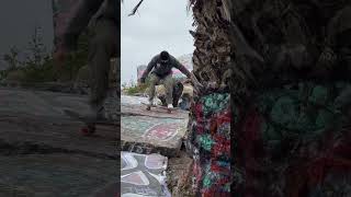 SUNKEN CITY TREE NOSESLIDE [upl. by Neel]