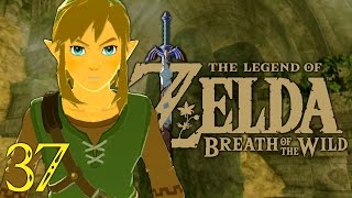 ZELDA BREATH OF THE WILD SWITCH 37 FR  FIN DES SANCTUAIRES [upl. by Valente]