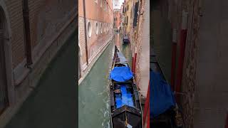 Il ponte di Venezia più bello venezia campanile sanmarco bell italy italia [upl. by Marta197]