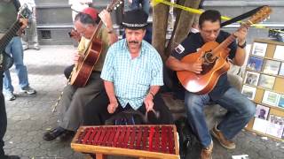 Downtown San Jose Costa Rica Street Music [upl. by Nilyahs]