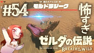 54 ゼルダの伝説 ブレス オブ ザ ワイルド【モルドラジーク】 [upl. by Norok]