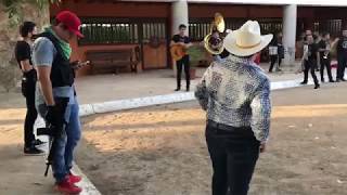 ASI SON LAS FIESTAS DE NARCOS EN SINALOA • MÉXICO 🇲🇽 [upl. by Soilissav320]