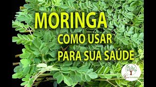 Moringa em sua Casa Aprenda como usar para sua Saúde [upl. by Pinchas115]