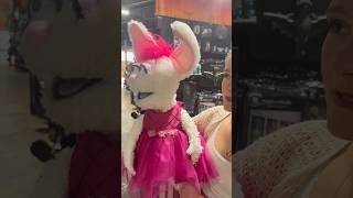 Took Petunia to spirithalloween 👻  Darci Lynne [upl. by Sigler]