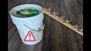 Fabriquer un piège à souris avec un seau et une bouteille de plastique [upl. by Somar]