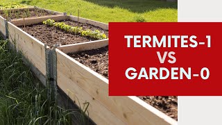 Termites Destroyed my Garden Beds [upl. by Eilerua]