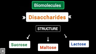 What are Disaccharides structure of sucrose maltose lactose  Biomolecules  simplified [upl. by Woodley]