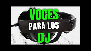 VOCES PARA DJ 2024 [upl. by Ches]