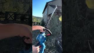 DongCheng 40VFUEL Brushless Hedge Trimmer DCHT4026 [upl. by Zoara]