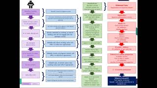 Smoking in Pregnancy Challenge Group Webinar  Local Maternity System [upl. by Colan]