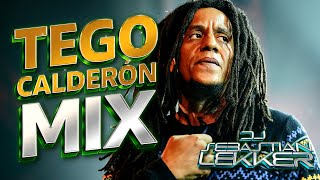 Tego Calderon Mix HD 2024  Dj Sebastian Lekker [upl. by Antonino165]