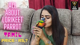 ALL ABOUT LORIKEET PARROT PETSPSYCHO TAMIL [upl. by Raskind]