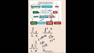 LV diastolic dysfunction algorithm mnemonic part 2 patients with depressed LVEF or suspected dx dysf [upl. by Fabrin330]