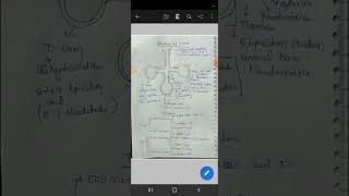 trna structure csirlifescience [upl. by Esor]