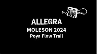 POV Poya Flow Trail in Moleson  ALLEGRA 2024 [upl. by Itram]