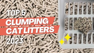 Top 5 BEST Clumping Cat Litter Brands 2023 [upl. by Cusack]