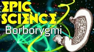 Borborygmi  Epic Science 7 [upl. by Nnylasor]