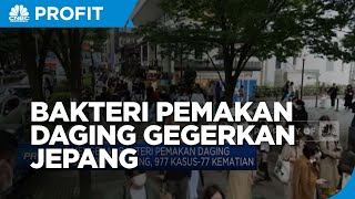 Bakteri Pemakan Daging Gegerkan Jepang 77 Orang Meninggal [upl. by Jurgen]