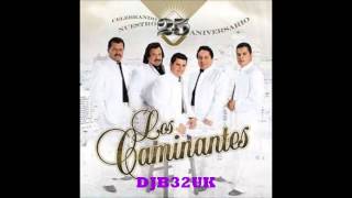 LOS CAMINANTES MIX [upl. by Umeh406]